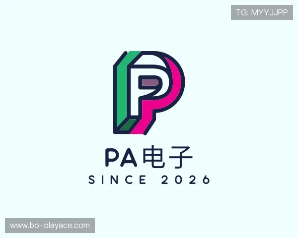 解读PA电子
